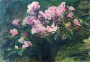 Charles-Amable Lenoir Study of Azaleas Spain oil painting reproduction